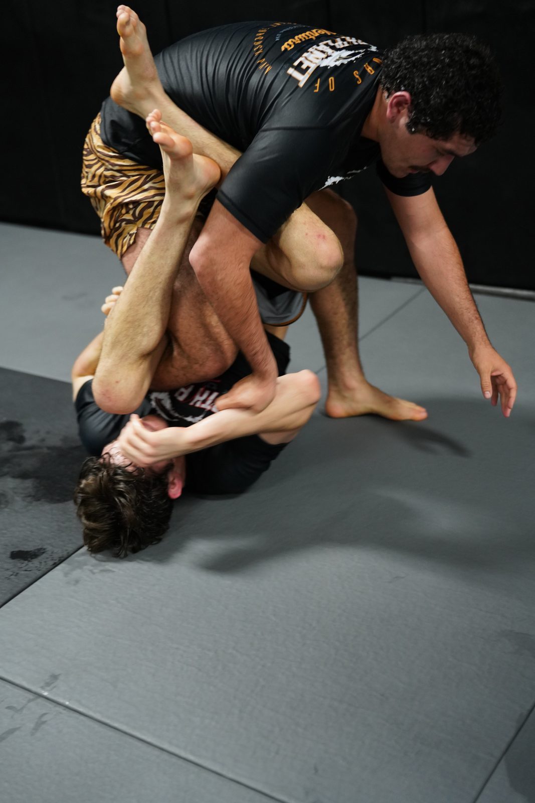 Adults jiu jitsu training at 10th Planet Ventura